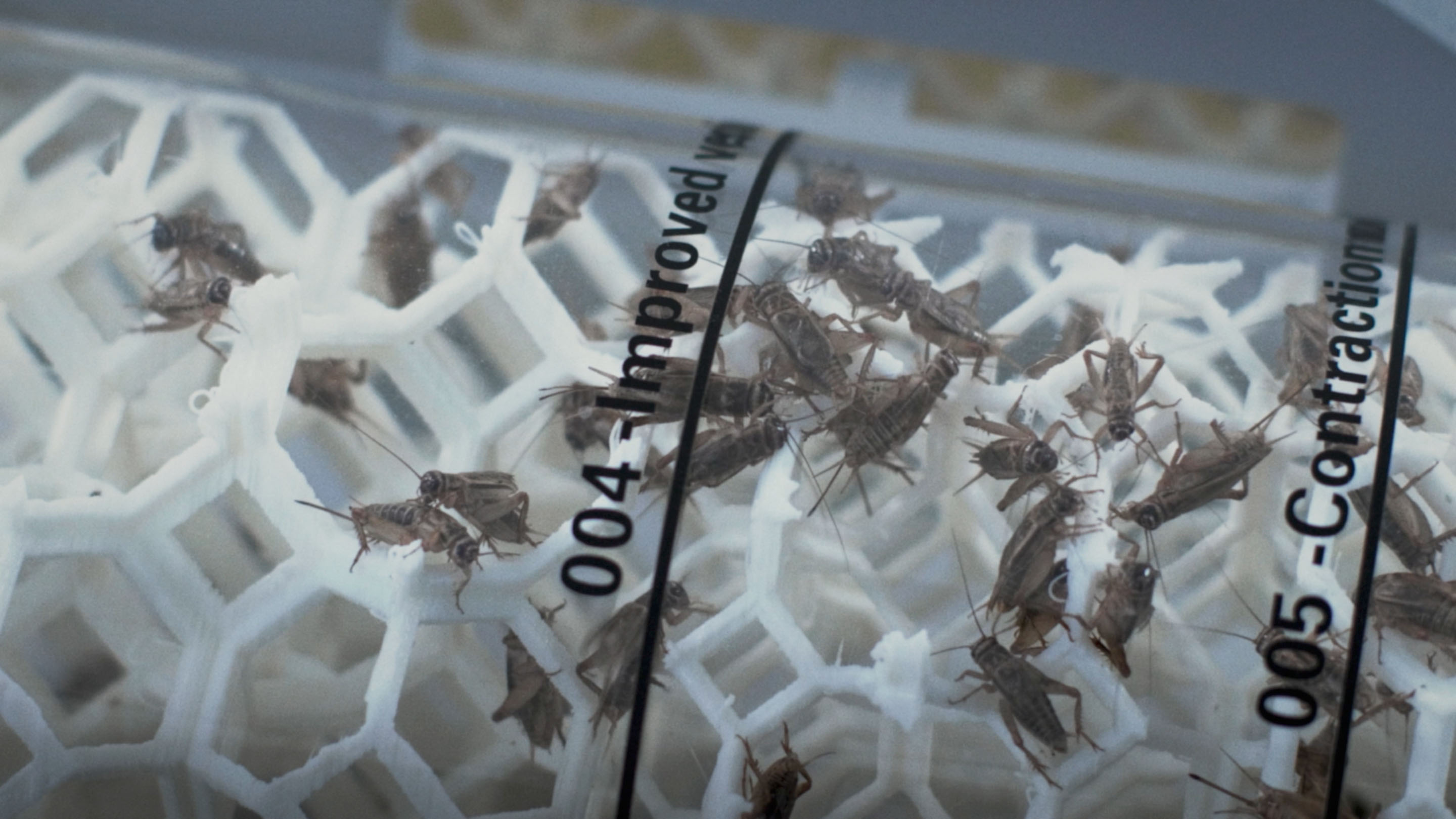 Design Challenge to Food Crisis / For a Quality Nutritious SocietyENTOMFARM