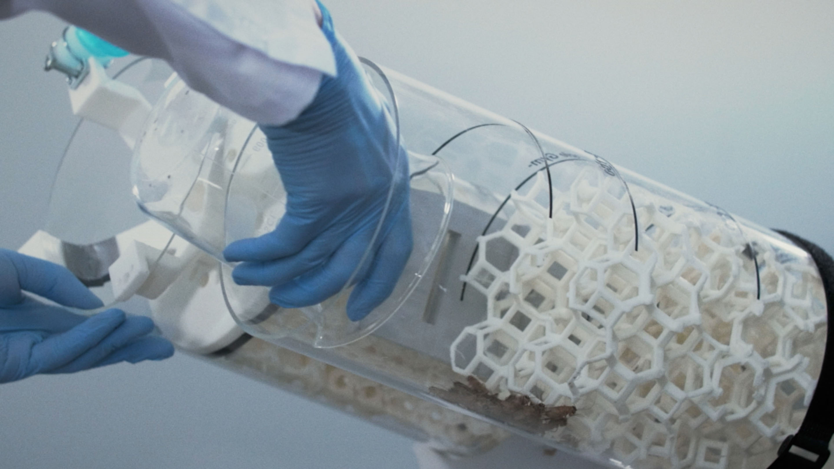 Design Challenge to Food Crisis / For a Quality Nutritious SocietyENTOMFARM