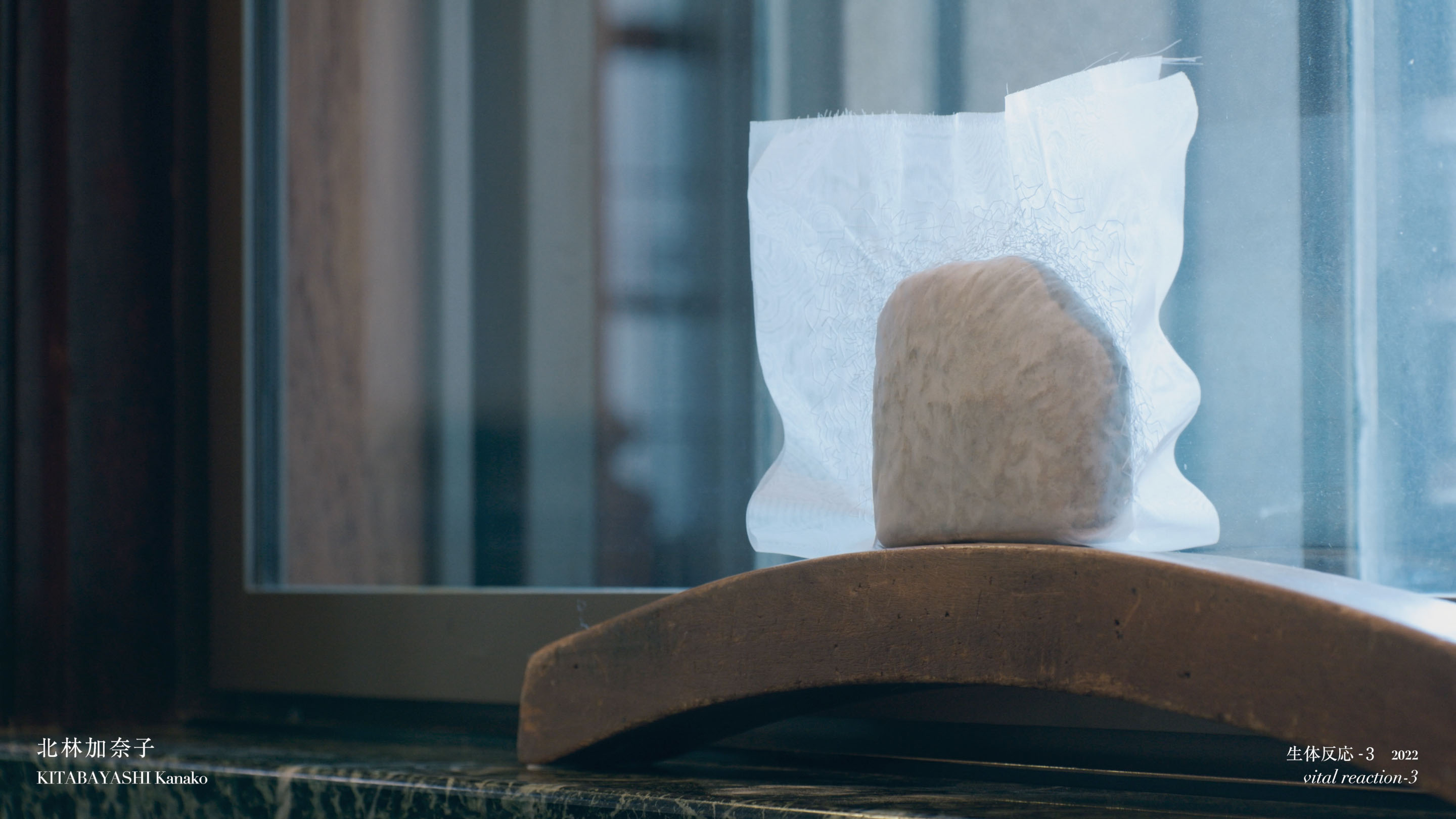 千葉市美術館「インクルーシブ・サイト——陶表現の現在」<i>Inclusive site: Expression in Ceramics Today</i>, Chiba City Museum of Art