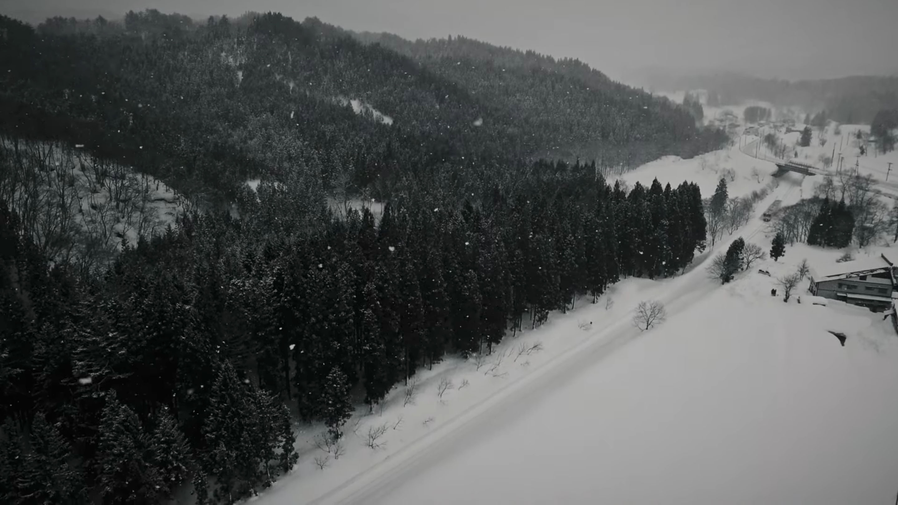 鉄道林の活用がつなぐ思い