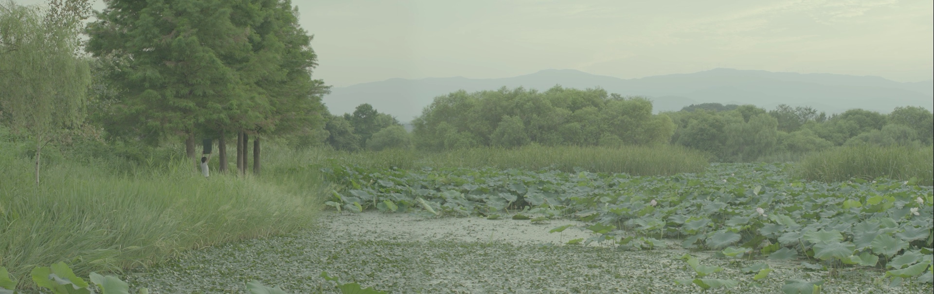 原田裕規《湖に見せる絵(ドービニーの庭)》<i>Painting to Be Shown to the Lake (Daubigny’s Garden)</i> Yuki Harada